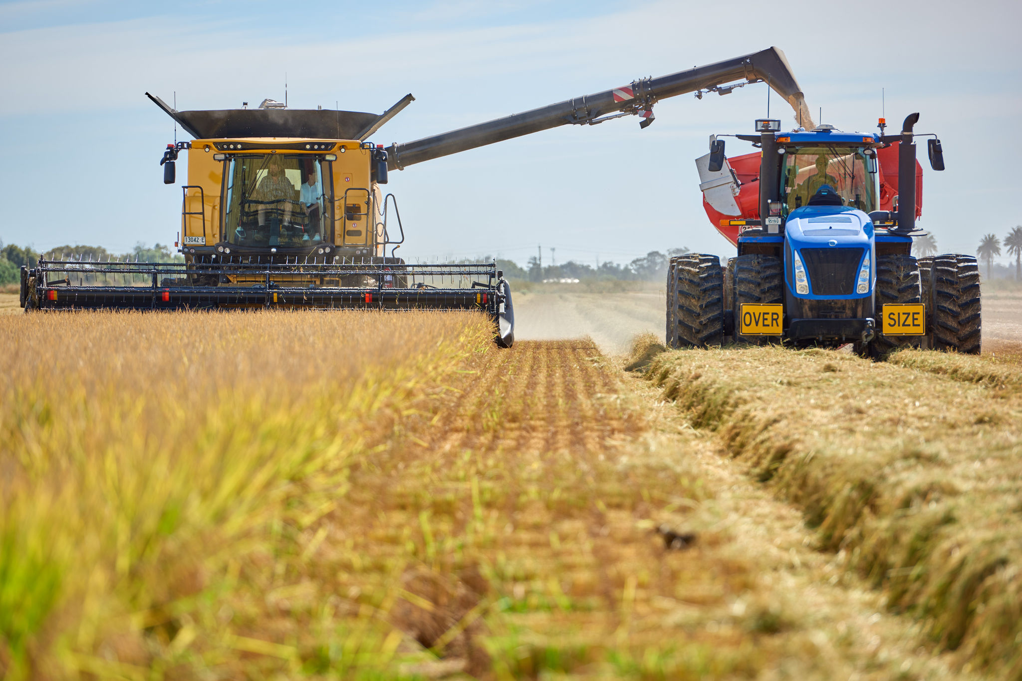 rice-harvest-machinery-at-work