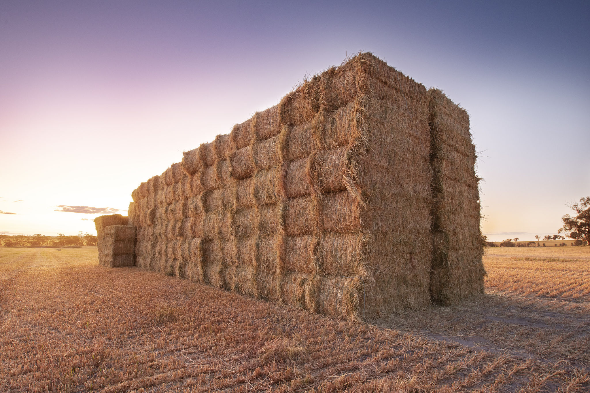 large-bale-of-hay