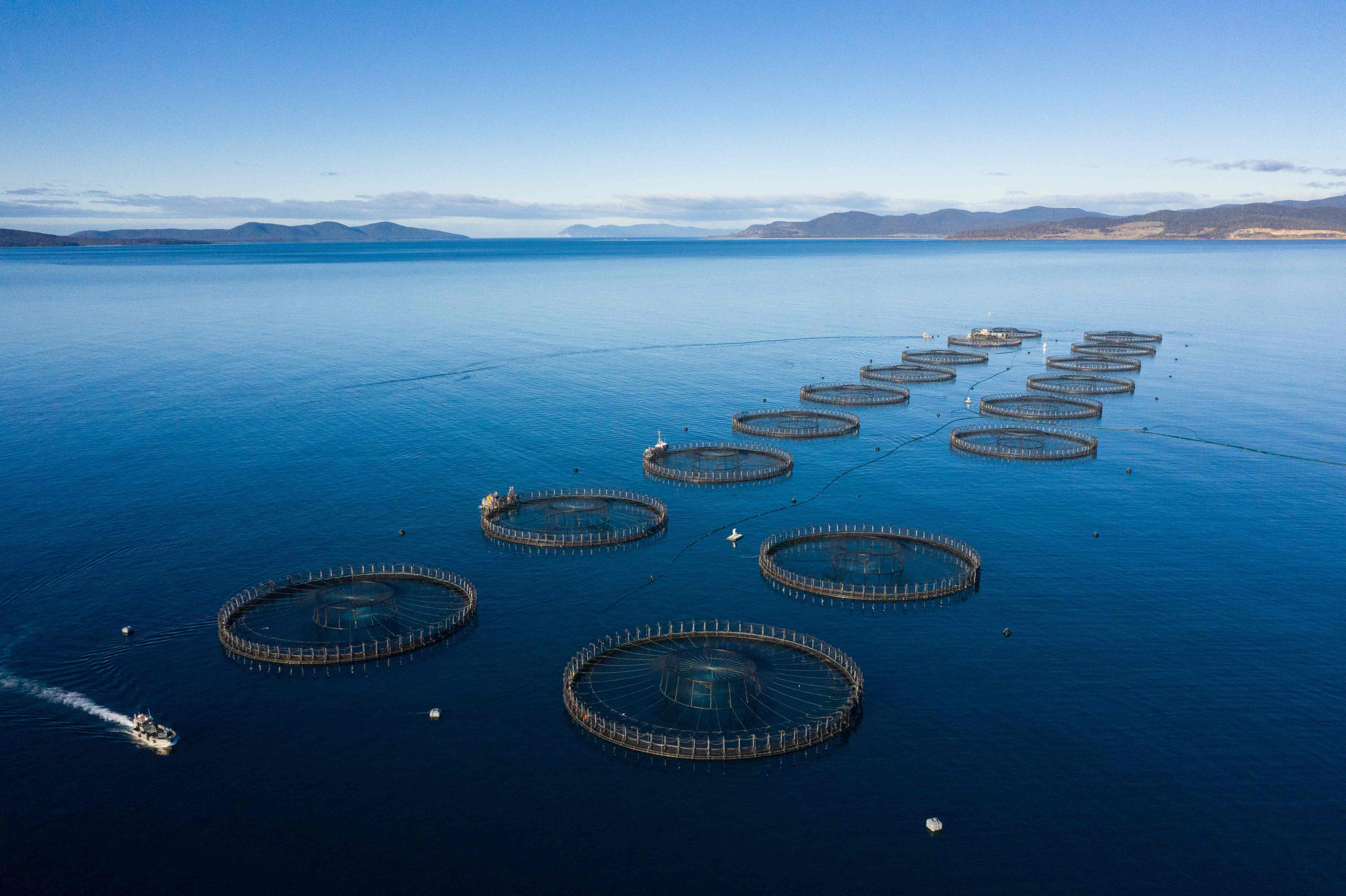salmon-sustainable-aquaculture