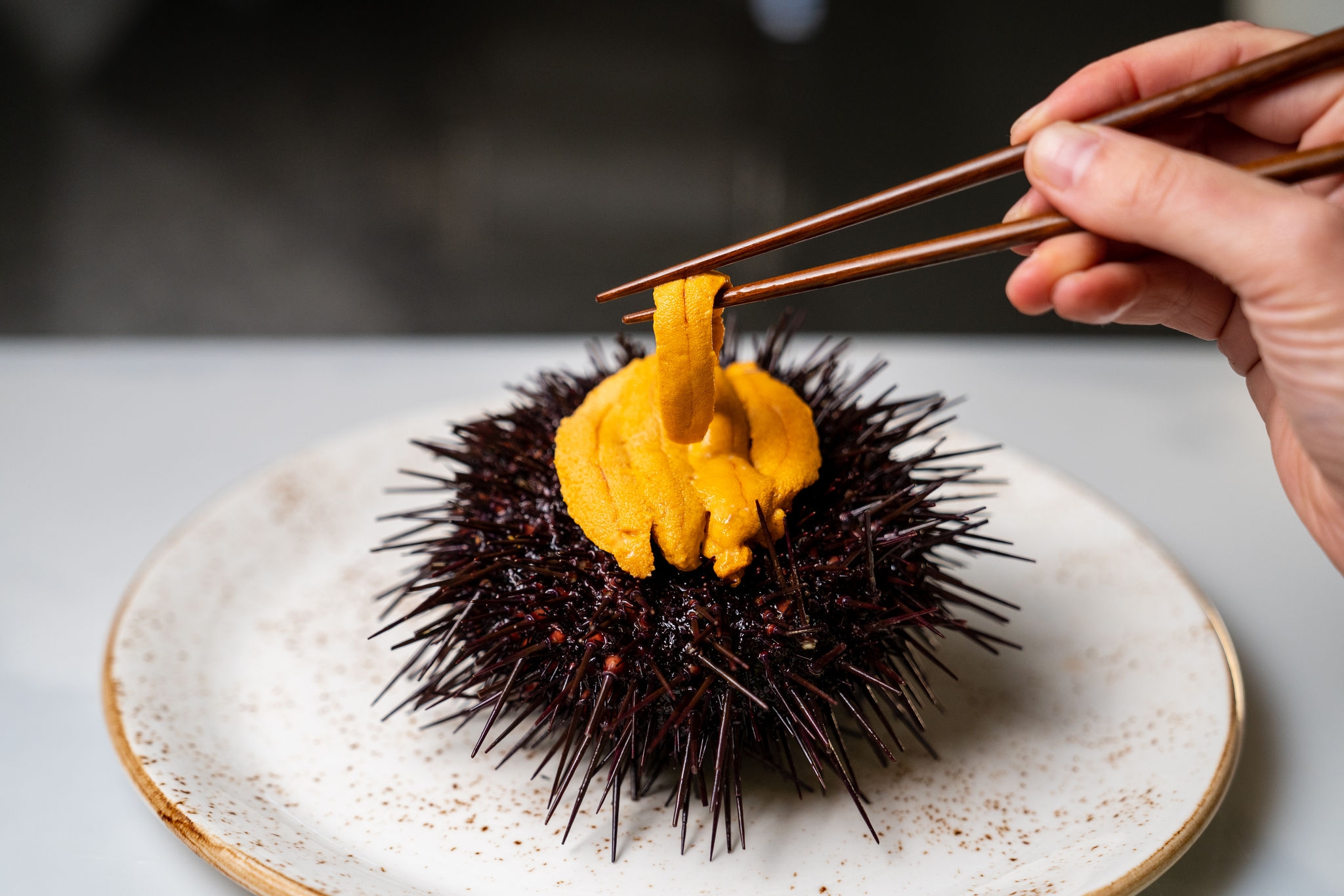 sea-urchin-plated-to-eat